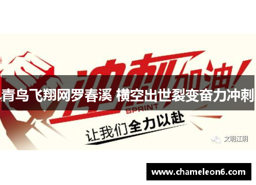 青鸟飞翔网罗春溪 横空出世裂变奋力冲刺